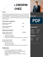 Nueva Plantilla Curriculum Vitae Original Gris Derecha