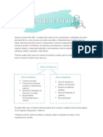 Perfil de Un Auditor PDF
