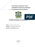 Informe de Programa de Produccion de Carnes