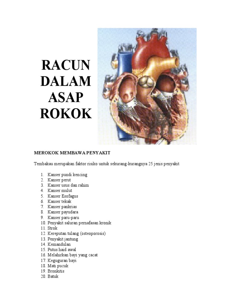 Racun Dalam Asap Rokok | PDF | Kesehatan Holistik