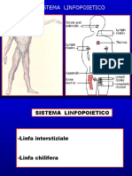 Linfopoietico