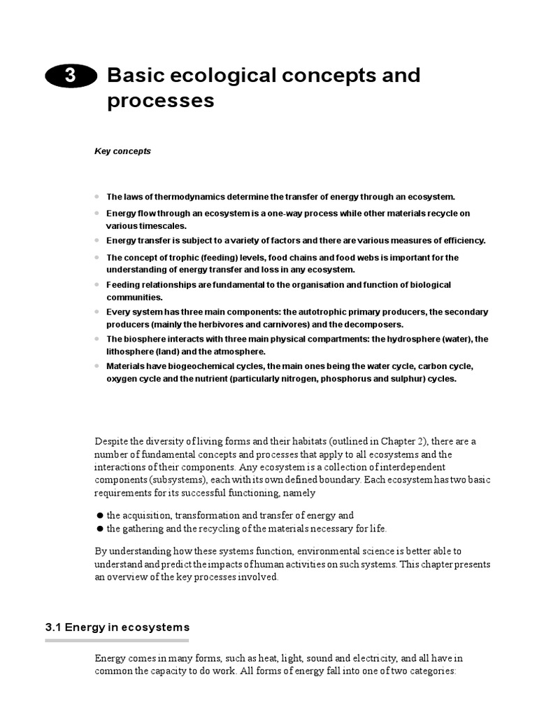 Basic Ecological Concepts and Processes | PDF | Food Web | Ecosystem