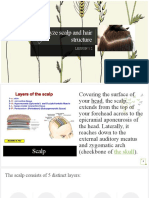 Analyze Scalp and Hair Structure