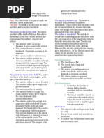 Download Thorax forms the upper part of the trunk of the body by mabdulmateenpk SN47536602 doc pdf