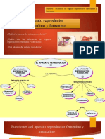 GUIA 7mos - Organos Reproductores