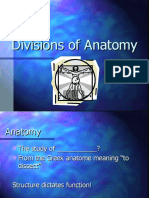 Divisions of Anatomy