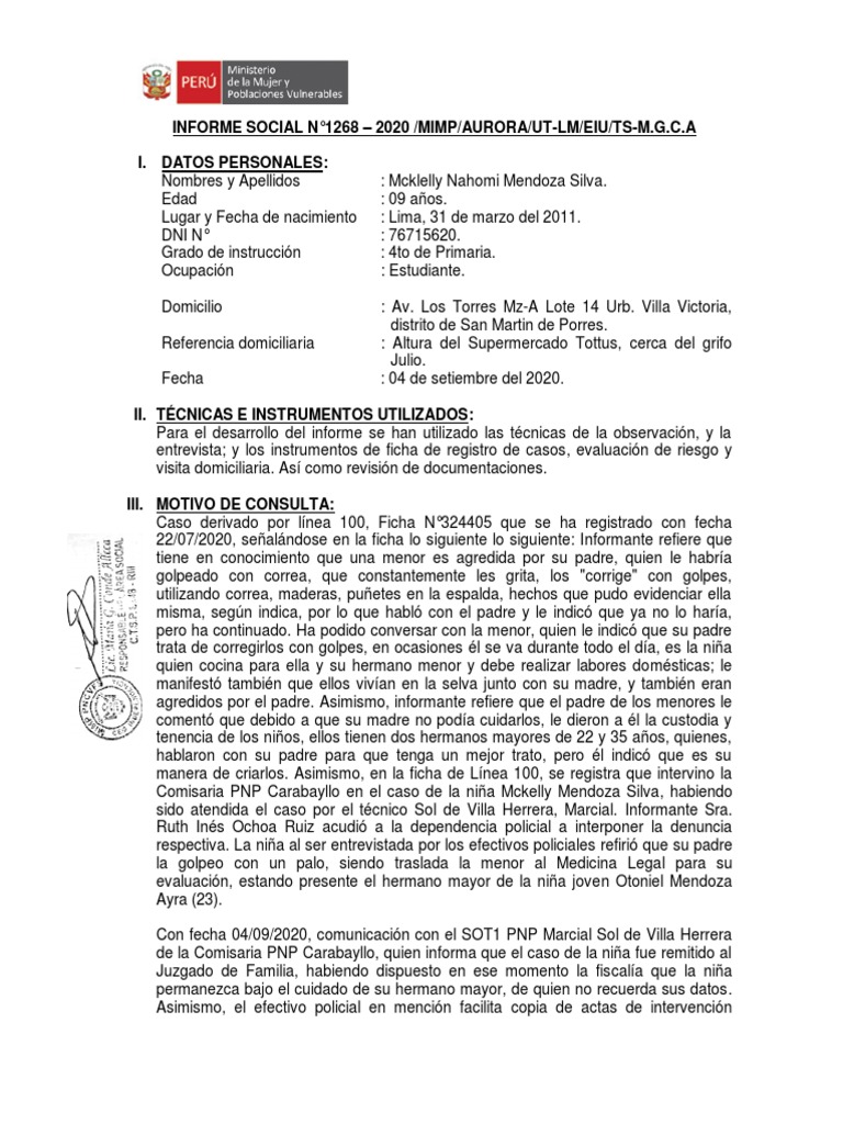 Informe Social de Mckelly Mendoza Silva | PDF | La violencia contra las ...