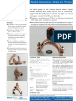 Service Connections - Straps and Ferrules