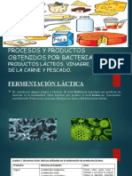 Procesos y Productos Obtenidos Por Bacterias