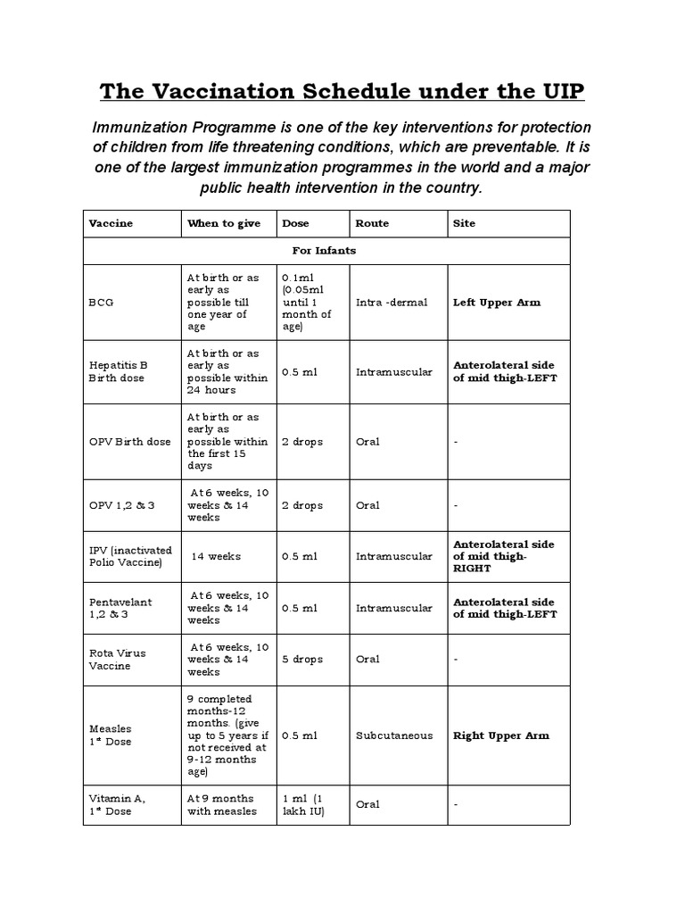 Child Immunization Guide | PDF | Vaccines | Measles