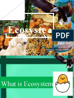 Types Of: Ecosyste M