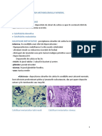 9.METABOLISM MINERAL.docx