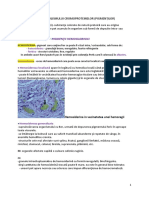 9.PIGMENTI (cromoproteine).docx