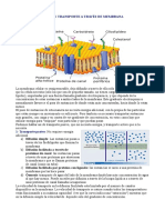 Ficha Membrana y Transporte PDF