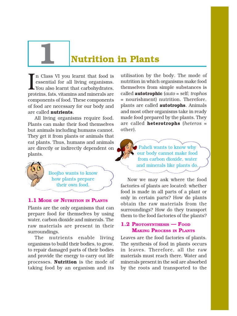 7 Science NCERT Chapter 1 PDF | PDF | Plants | Leaf