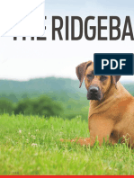 The Ridgeba: Breeder Icon