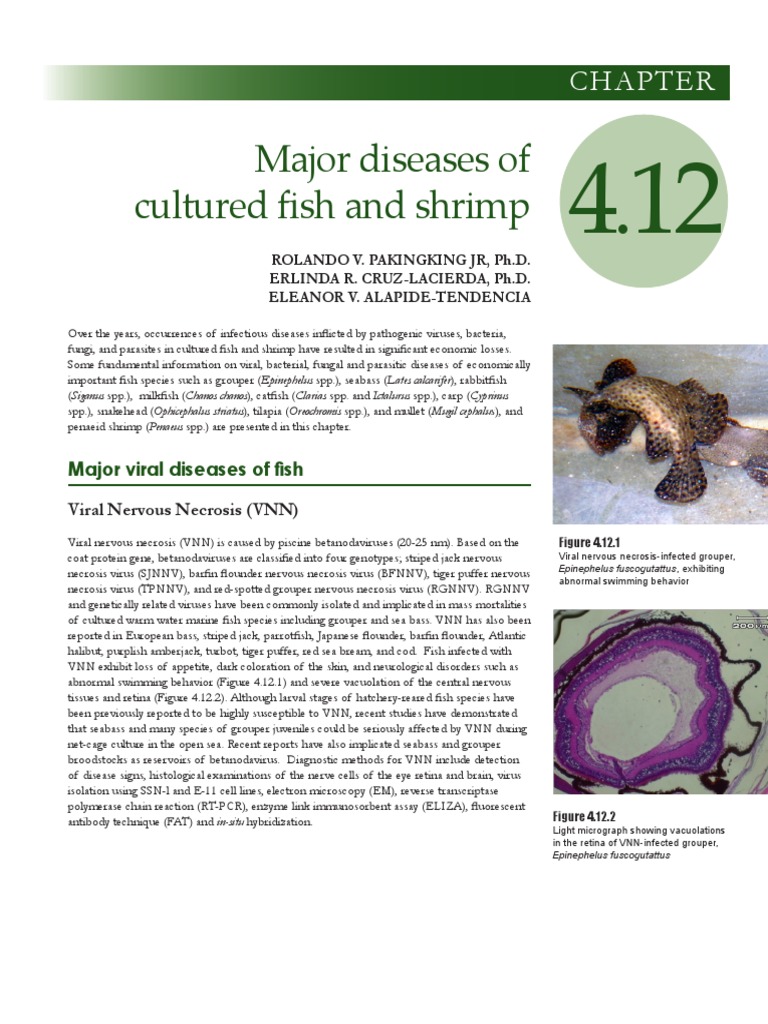 Major Diseases in Cultured Fish & Shrimp | PDF | Infection | Virus