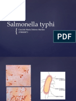 Salmonella Typhi - Graciela Maria Dolores Martins (1708010073)