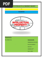 Project of Intellectual Property Rights PDF