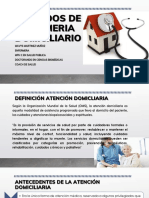 Cuidados de Enfermeria Domiciliario PDF