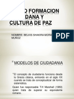 CURSO FORMACION CIUDADANA Y CULTURA DE PAZ (2) Ambiental