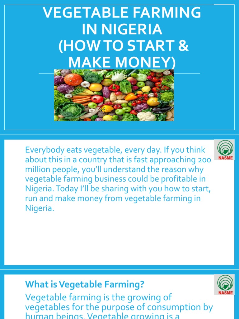 Vegetable Farming in Nigeria PDF PDF Vegetables Tomato