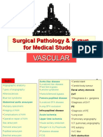 VASCULAR Surgical Pathology &x-Rays - Pps