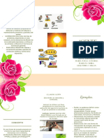 Agente Fisico Brochure-1 PDF