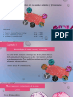 microbiologia de carnes crudas y procesadas (1).pdf