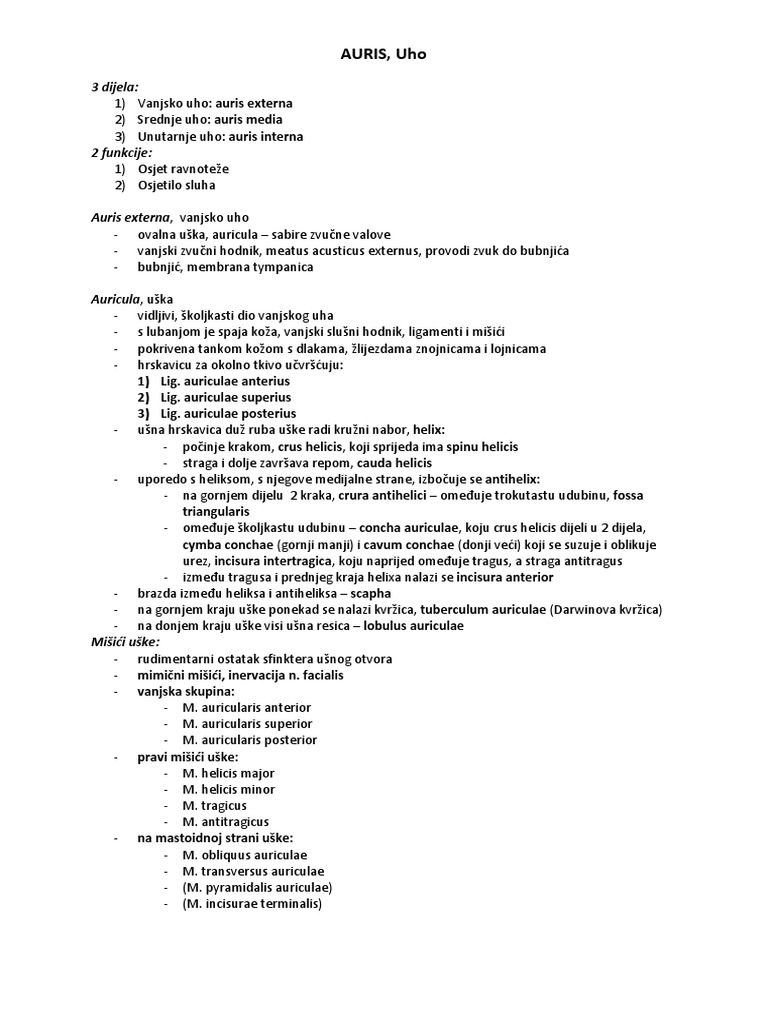 S15 - Uho | PDF