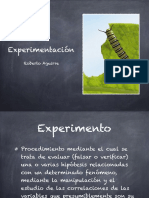 Experimentación