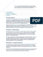 León PDF