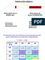 interaccion genica 2018.pdf