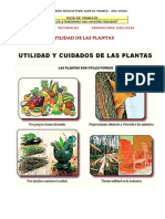 24-agosto-UTILIDAD DE LAS PLANTAS