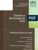 Iane Barroncas Gomes Engenheira Florestal Mestre em Ciências de Florestas Tropicais Professora Assistente CESIT - UEA. Gênese e Morfologia Do Solo