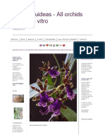 All Orchids Cultivo in Vitro - FÓRMULAS PARA EPÍFITAS Y TERRESTRES PDF
