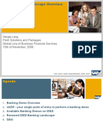Sergej Lang Point Solutions and Packages Global Line of Business Financial Services 13th of November, 2008