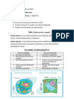 Clase de Ciencias Naturales. Cèlula Animal y Vegetal