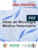Educação contínua em micologia veterinária