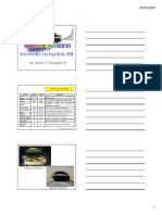 Introduccion PDF