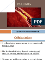 Ischemia: By/Dr - Abdisamad Omar Ali