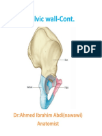 Pelvic Wall-Cont.: Dr:Ahmed Ibrahim Abdi (Nawawi) Anatomist
