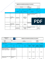 Copia de Formato Identificación de Peligros 2010