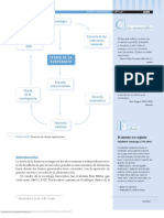 Teorìa de La Burocracia PDF