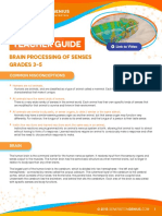 Teacher Guide: Brain Processing of Senses Grades 3-5