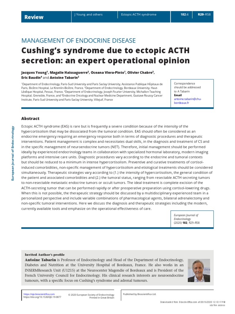 Cushing's Syndrome Due To Ectopic ACTH Secretion: An Expert Operational ...