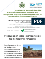 Ecología del Paisaje - Efectos de la plantaciones de pinos...