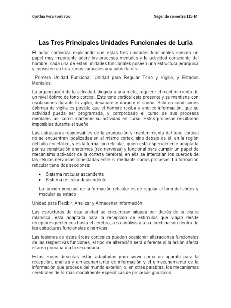 Las Tres Principales Unidades Funcionales de Luria | PDF | Corteza ...