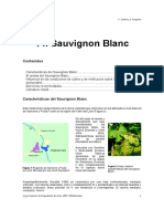 Script-Tmp-14 Sauvignon Blanc