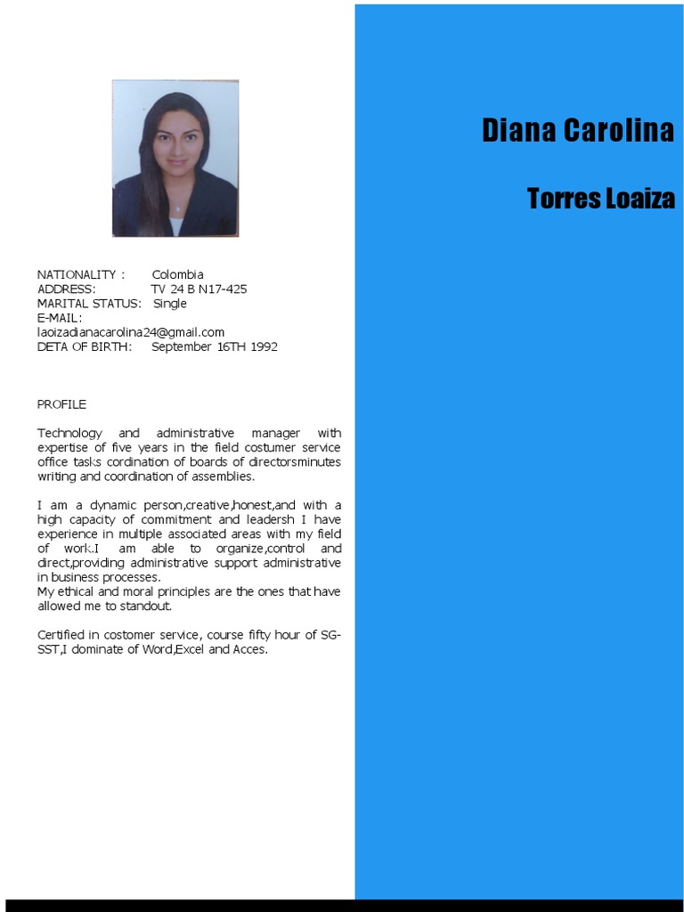 Hoja de Vida en Ingles PDF